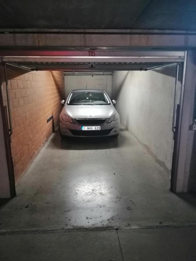 Ferienwohnung Marjolaine Zeezicht - Nieuwpoort-Bad Met Gratis Garagebox Exterior foto